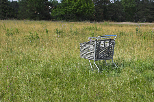 Why Shopping Cart Abandonment is a Problem for Merchants